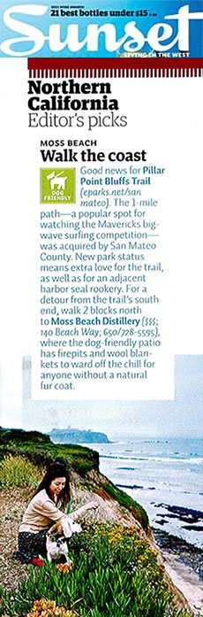 Sunset Magazine editor's pick for dog-friendly place on the coast