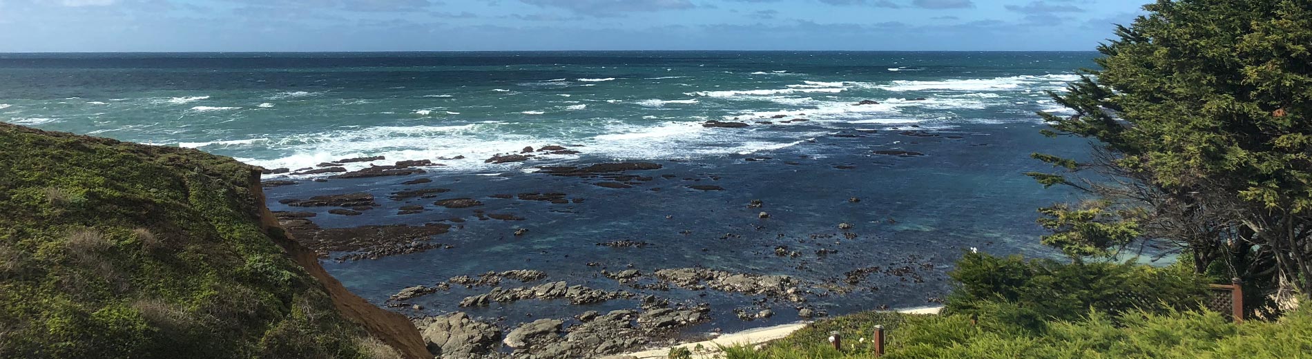 Fitzgerald Marine Reserve