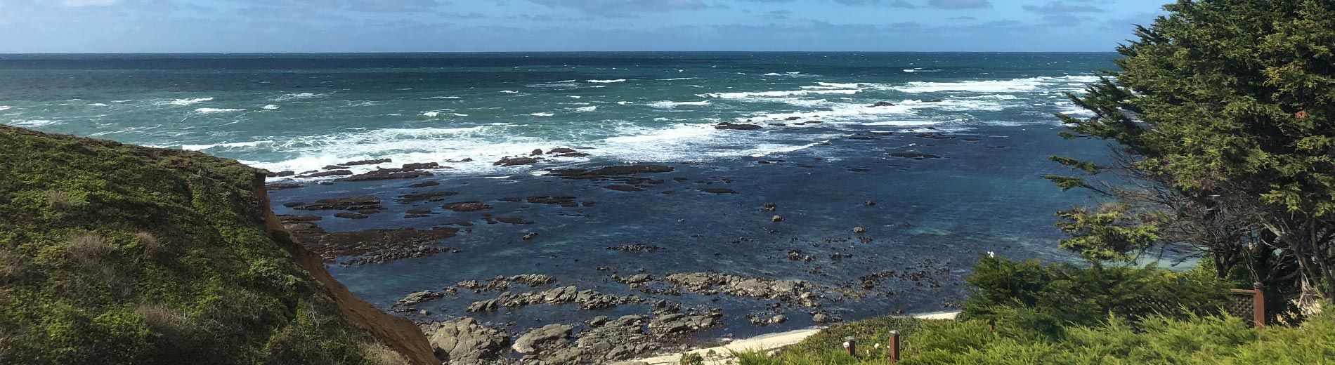 Fitzgerald Marine Reserve