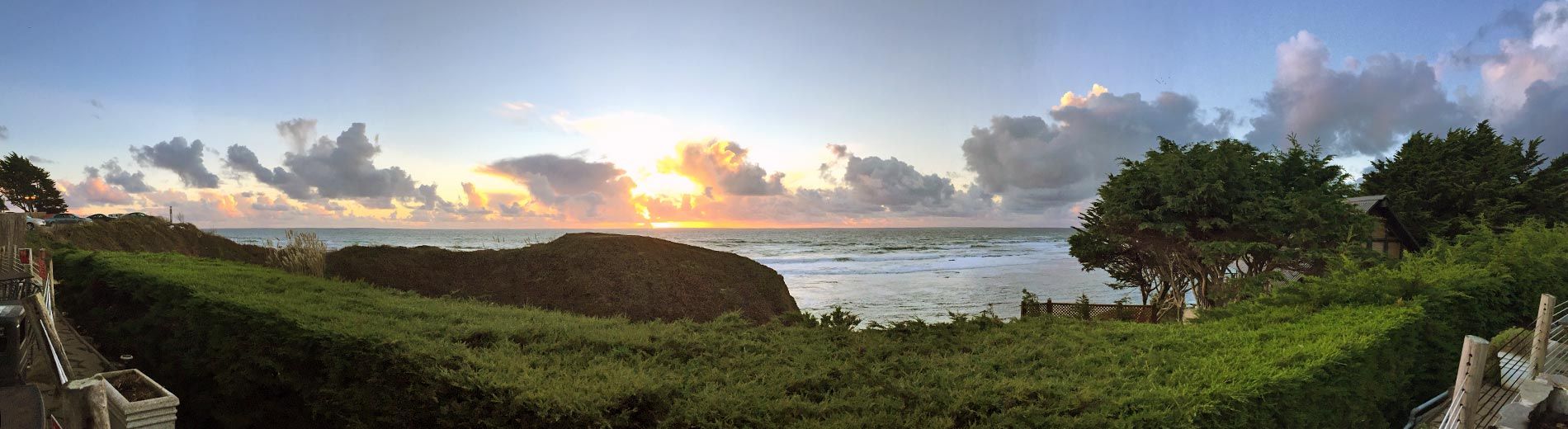 dog friendly dining ocean view restaurant patio